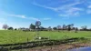 60 Tannis Road, Larpent, Vic 3249-Image