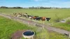 60 Tannis Road, Larpent, Vic 3249-Image