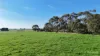 60 Tannis Road, Larpent, Vic 3249-Image