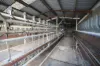 712 Singer Road, Bamawm, Vic 3561-Image