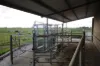 712 Singer Road, Bamawm, Vic 3561-Image