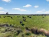 751 Sale-Cowwarr Road, Denison, Vic 3858-Image