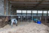 93  Sheehans Road, Crossley, Vic 3283-Image
