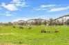 95 Vardys Road, Riverslea, Vic 3860-Image