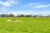 95 Vardys Road, Riverslea, Vic 3860-Image