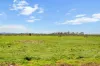 95 Vardys Road, Riverslea, Vic 3860-Image