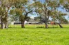 95 Vardys Road, Riverslea, Vic 3860-Image