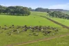 999 Centre Road, Cooriemungle, Vic 3268-Image
