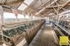 , Inverloch VIC 3996-Image