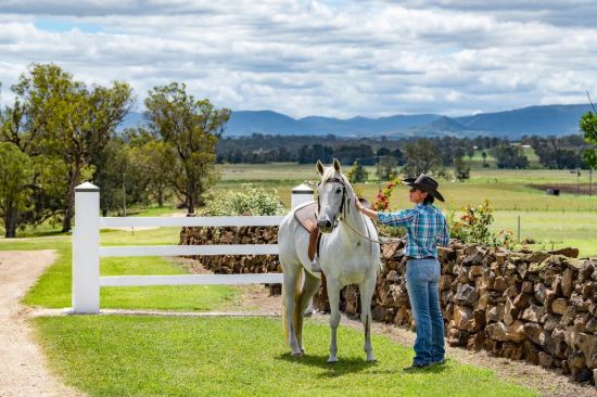 Ray White Rural - Warwick - Real Estate Agency