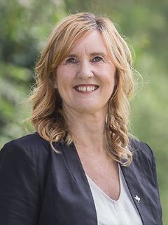 Di Goldsmith - Real Estate Agent
