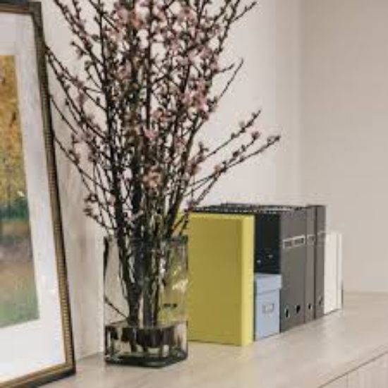 Ray White Hastings - Real Estate Agency