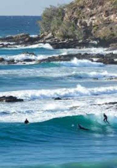 McGrath  -  Coolum - Real Estate Agency
