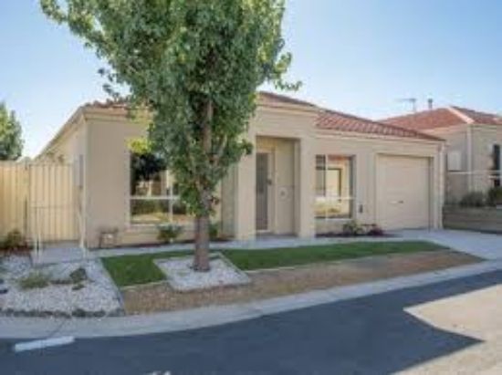 Gull & Co - Real Estate Agency