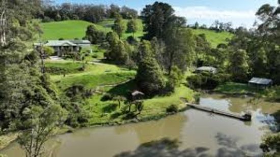 Ray White Yarragon - Real Estate Agency