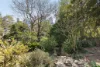 1/10 Holdsworth Street, Neutral Bay, NSW 2089-Image