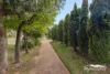1/14 Helena St, Guildford, WA 6055-Image