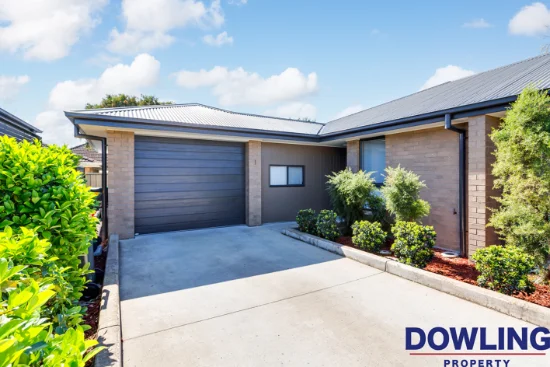 1/1A Western Ave, Tarro, NSW 2322