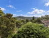 1/41 Calvert Parade, Newport, NSW 2106-Image