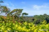 1/8 Mibbin Parade, Banora Point, NSW 2486