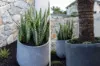 104B Corea Street, Sylvania, NSW 2224-Image