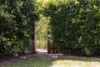 1&2/27 Joanne Street, Marcoola, Qld 4564-Image