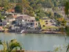 12A Chiswick Street, Chiswick, NSW 2046-Image