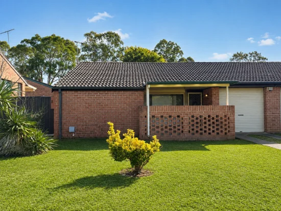 13 Cestrum Avenue, Macquarie Fields, NSW 2564