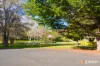 137 Hassans Walls Road, Lithgow, NSW 2790-Image
