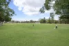 14 Cobham Street, Maroubra, NSW 2035-Image