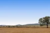 16 Tarcoola Street, Wyreema, Qld 4352-Image