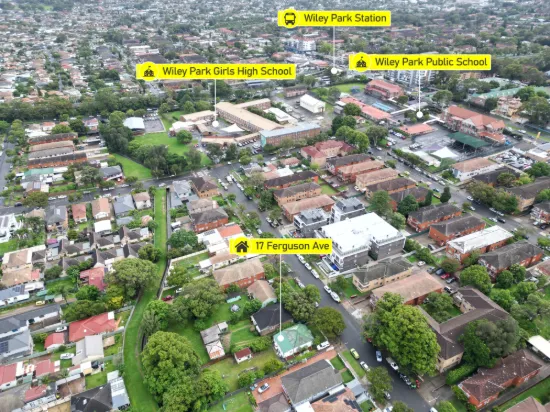 17 Ferguson Avenue, Wiley Park, NSW 2195-Image