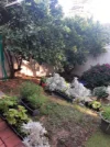 19B Sherwood Street, Maylands, WA 6051-Image