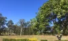2/137 North Buderim Boulevard, Buderim, Qld 4556-Image
