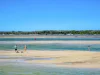 2/2 Burke Street, Golden Beach, Qld 4551-Image