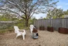 2/20 Kitchener Street, Balgowlah, NSW 2093-Image