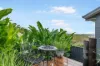 2/21 Elsie Street, Banora Point, NSW 2486-Image