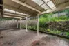 2/21 Paramount Place, Oxenford, Qld 4210-Image