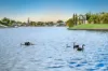 2/32 Marsupial Drive, Coombabah, Qld 4216-Image