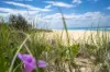 2/41 Marion Street, Tugun, Qld 4224-Image