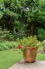 2/68 Gloucester Road, Buderim, Qld 4556-Image