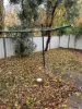 2/6a Orchard Grove Road, Orange, NSW 2800-Image
