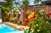 2/7 Gardiners Place, Southport, Qld 4215-Image