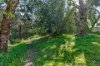 2/9 Davoren Court, Victor Harbor, SA 5211-Image