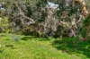 2/9 Davoren Court, Victor Harbor, SA 5211-Image