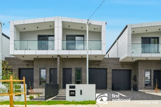 203B Wellington Road, Chester Hill, NSW 2162