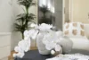 205 Vimiera Road, Marsfield, NSW 2122-Image