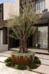 21 Poplar Street, Sans Souci, NSW 2219-Image