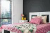 22 Outtrim Avenue, Calwell, ACT 2905-Image