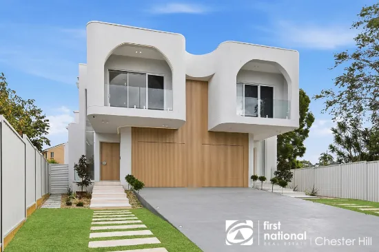 24B McPhee Street, Chester Hill, NSW 2162